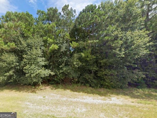Land for sale in Ty Ty, Georgia