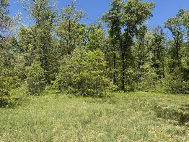 Land for sale in Baldwin, Michigan