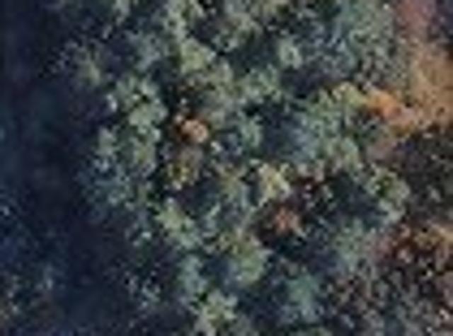 Land for sale in Coxs Corner, Hanson