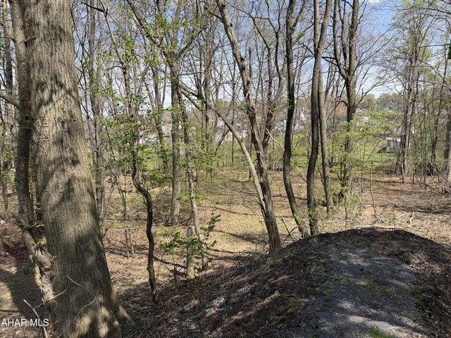 Land for sale in Portage, Pennsylvania