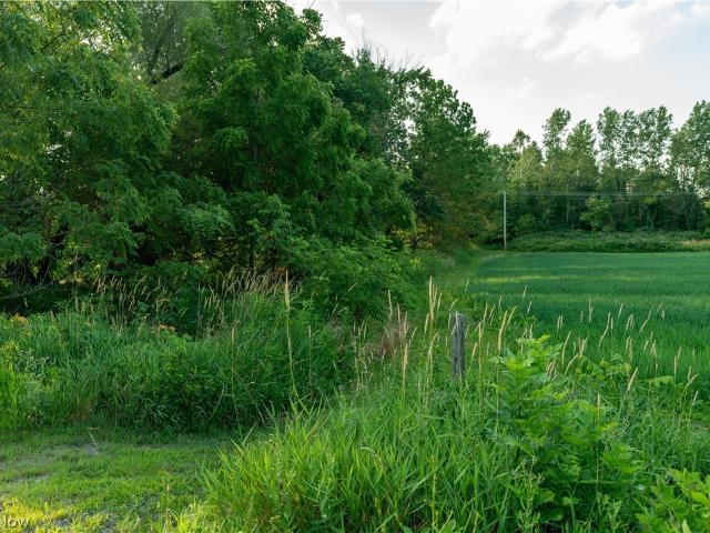 Land for sale in Burbank, Ohio