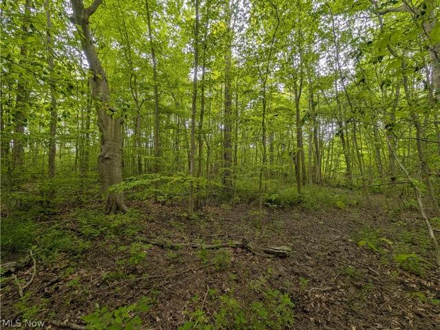 Land for sale in Canfield, Ohio