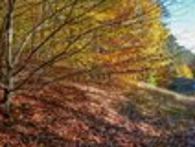 Land for sale in Empire, Michigan