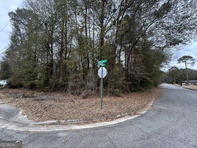 Land for sale in Montezuma, Georgia