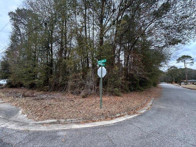 Land for sale in Montezuma, Georgia