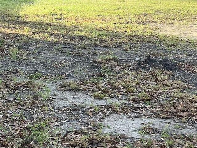 Land for sale in Independence, Louisiana