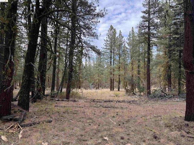 Land for sale in Susanville, California