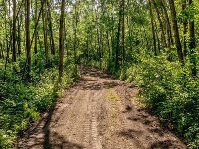 Land for sale in Bena, Minnesota