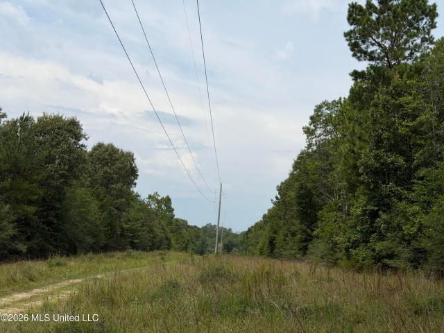 Land for sale in Wiggins, Mississippi