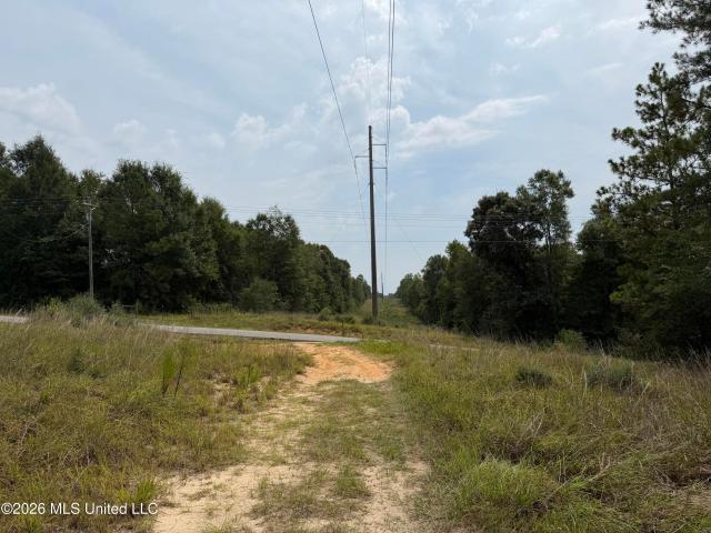 Land for sale in Wiggins, Mississippi