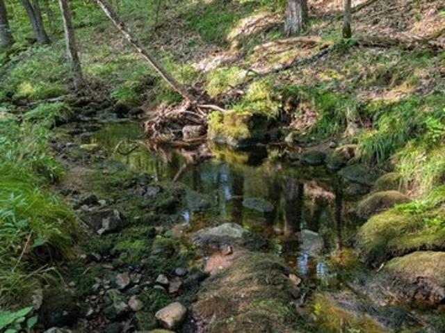 Land for sale in Sawyer, Wisconsin