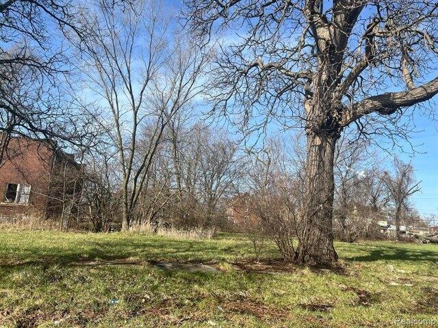 Land for sale in Detroit