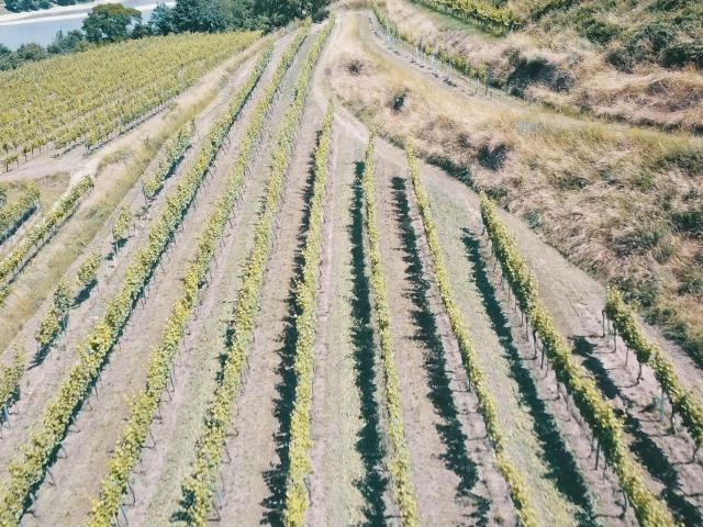 Landwirtschaft kaufen in Mitterarnsdorf, Niederösterreich