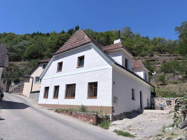 Haus kaufen in Litzendorf, Maria Laach am Jauerling