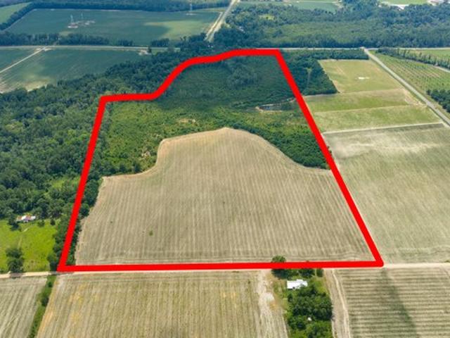 Land for sale in Surrency, Georgia
