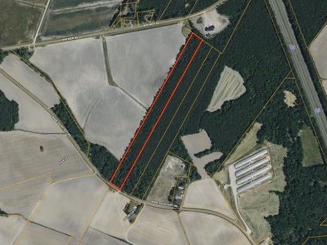 Land for sale in Faison, North Carolina