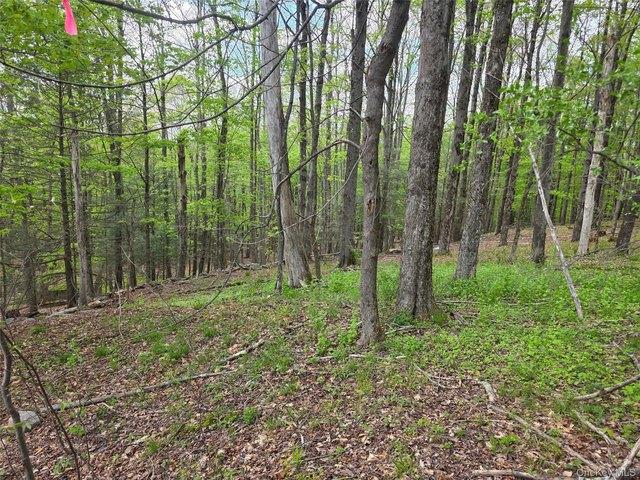 Land for sale in Fallsburg, New York