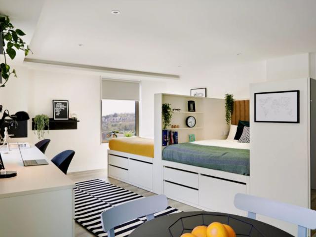 Studio for rent in Hollingdean, Brighton & Hove