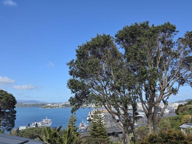 Apartment for rent in Highland Park, Wellington