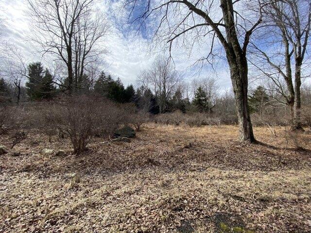 Land for sale in Pocono Lake