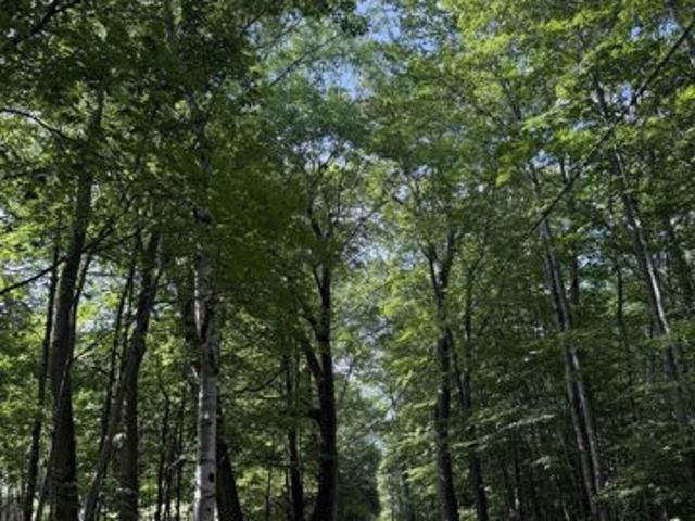 Land for sale in New Hampshire