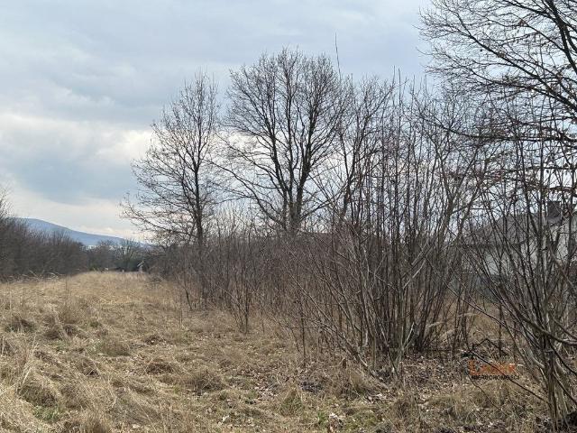 Grunt na sprzedaż w Wadowice, Małopolskie