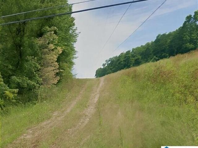 Land for sale in Forestdale, Alabama