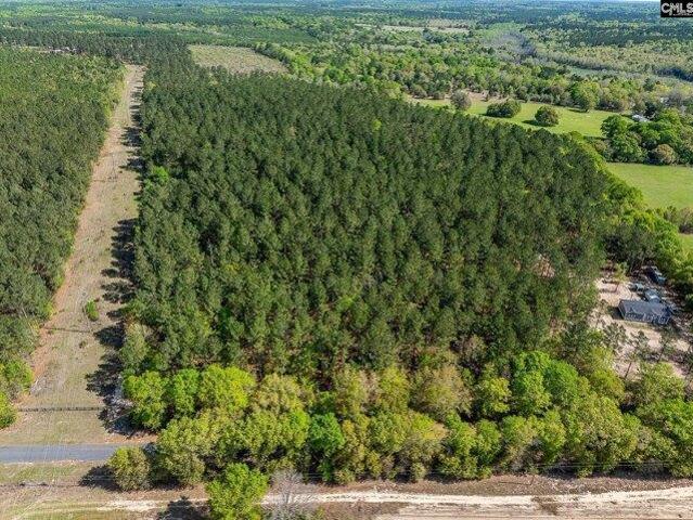 Land for sale in Wagener