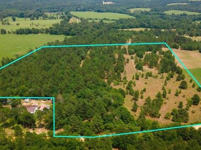 Land for sale in Wagener