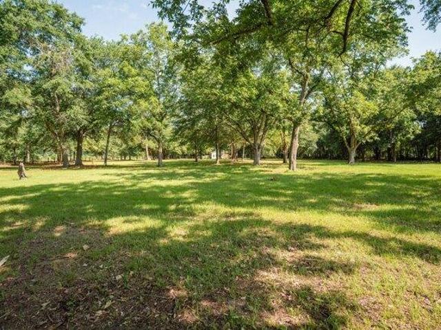 Land for sale in Wagener