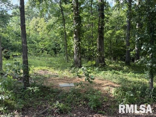Land for sale in Creal Springs, Illinois