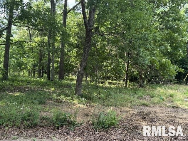 Land for sale in Creal Springs, Illinois