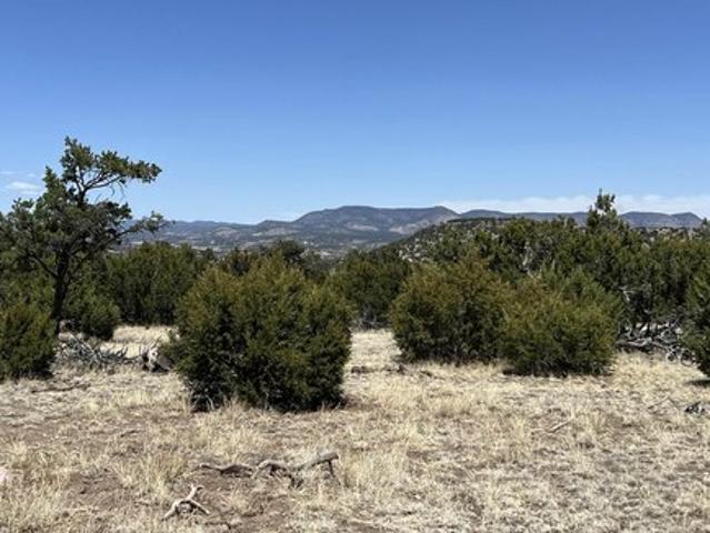 Land for sale in Catron, New Mexico