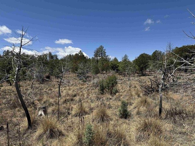 Land for sale in Timberon, New Mexico