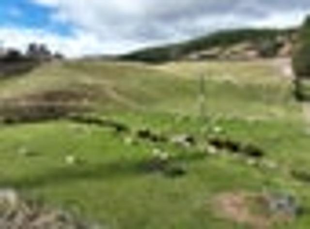 Land for sale in Otakou