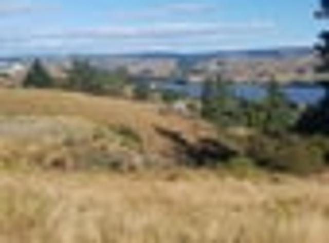 Land for sale in Otakou