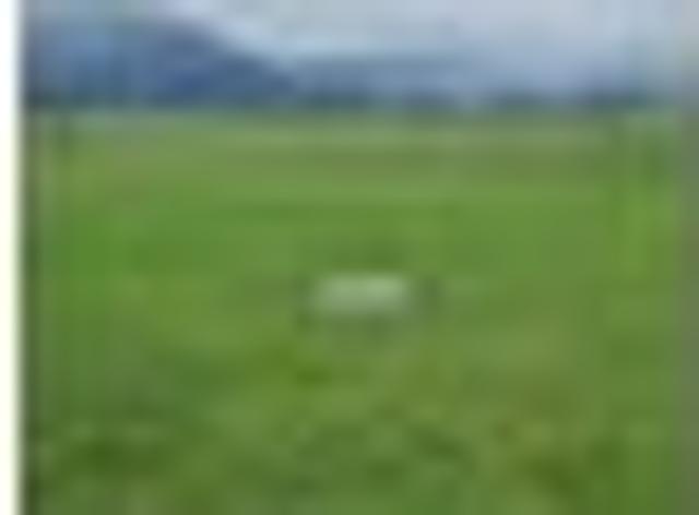 Land for sale in Waihou, Waikato
