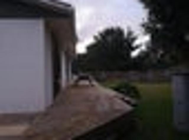 House for rent in Waikanae, Wellington