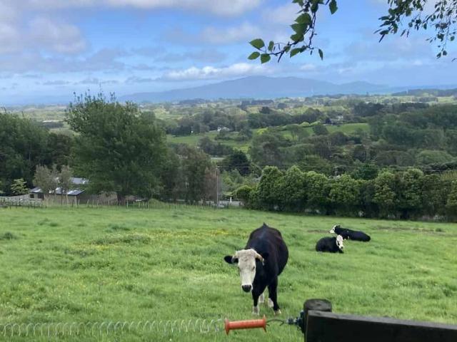 House for rent in Waikanae, Wellington