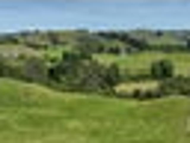 Land for sale in Waikato