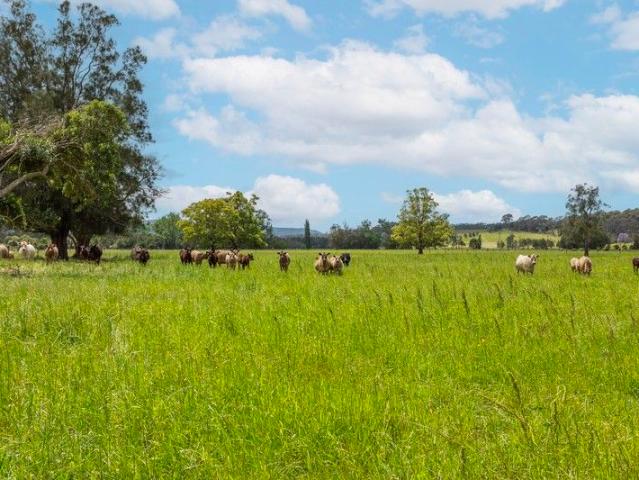 Cottage for sale in Berry, New South Wales