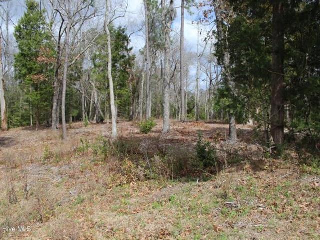 Land for sale in Havelock
