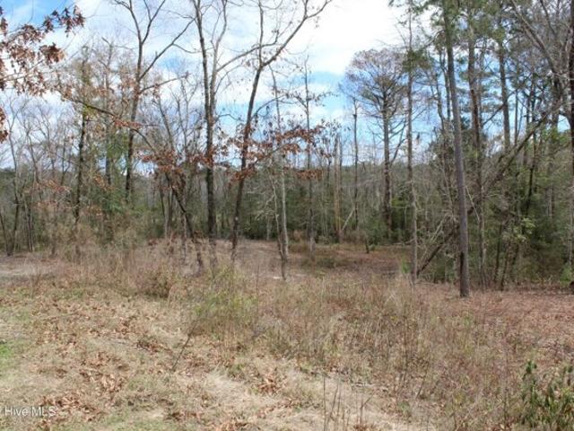 Land for sale in Havelock
