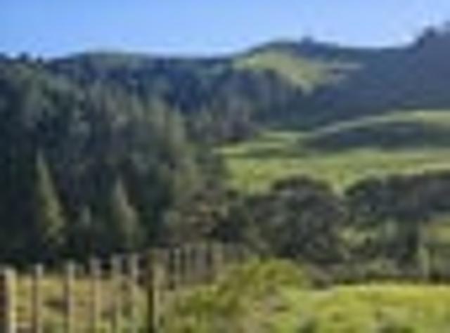 Land for sale in Northland