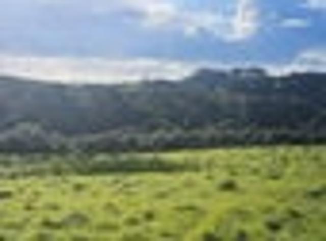 Land for sale in Northland