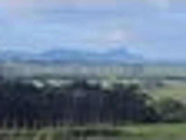 House for sale in Northland