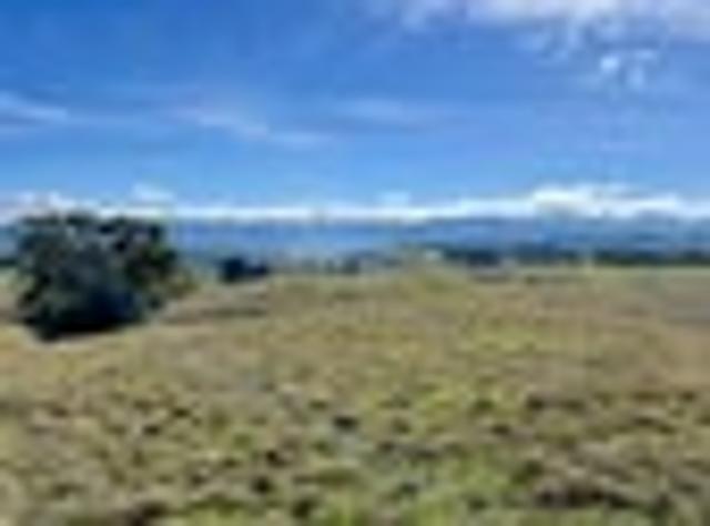 Land for sale in Wellington