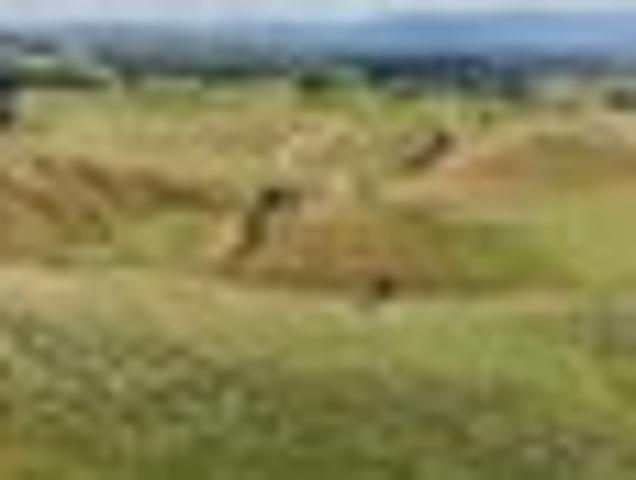 Land for sale in Wellington