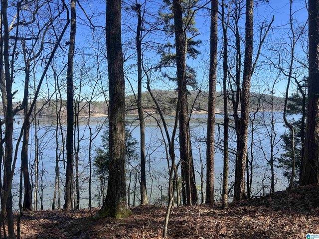 Land for sale in Cropwell, Pell City
