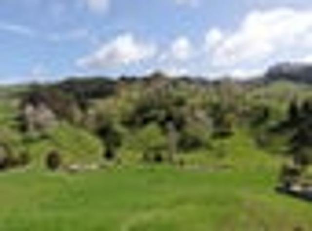 Land for sale in Waikato